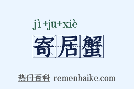 寄居蟹是什么意思的图片